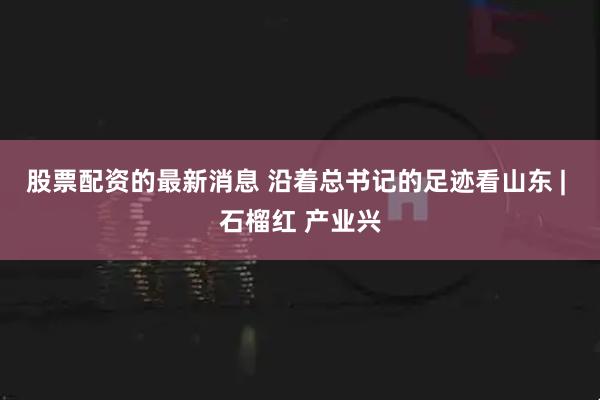 股票配资的最新消息 沿着总书记的足迹看山东 | 石榴红 产业兴